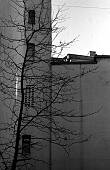 11b_12.jpg