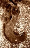 12b_15.jpg