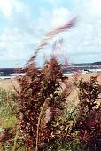 151_001.jpg