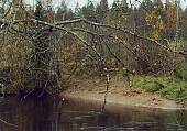 151_019.jpg