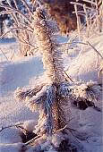 151_021.jpg