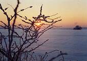 151_029.jpg