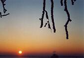 151_031.jpg