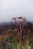 151_105.jpg