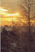 201_03.jpg