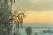 201_07.jpg