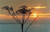 201_08.jpg