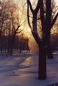 202_02.jpg