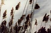 205_19.jpg